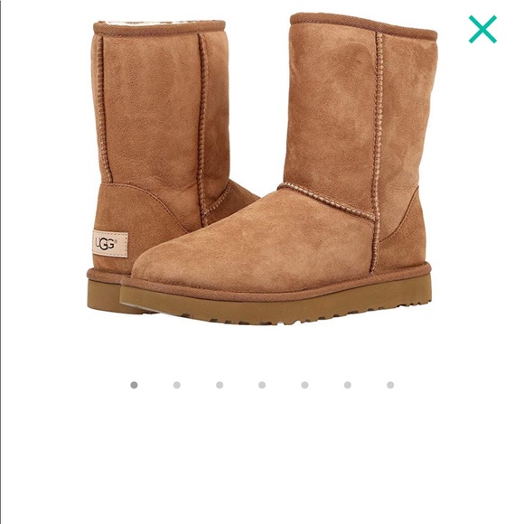UGG Shoes - UGG classic short
